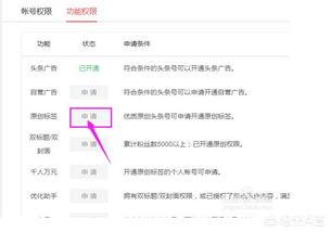 头条文章上怎么开通原创,头条文章原创开通指南